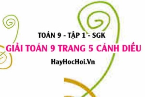 Giải Toán 9 trang 5 tập 1 Cánh Diều SGK